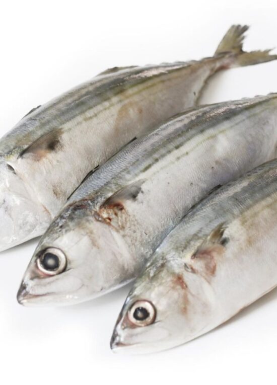 Frozen mackerel feature image