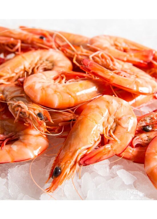 large prawns feature image