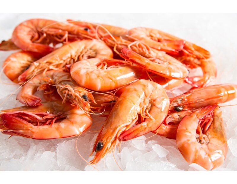 large prawns feature image