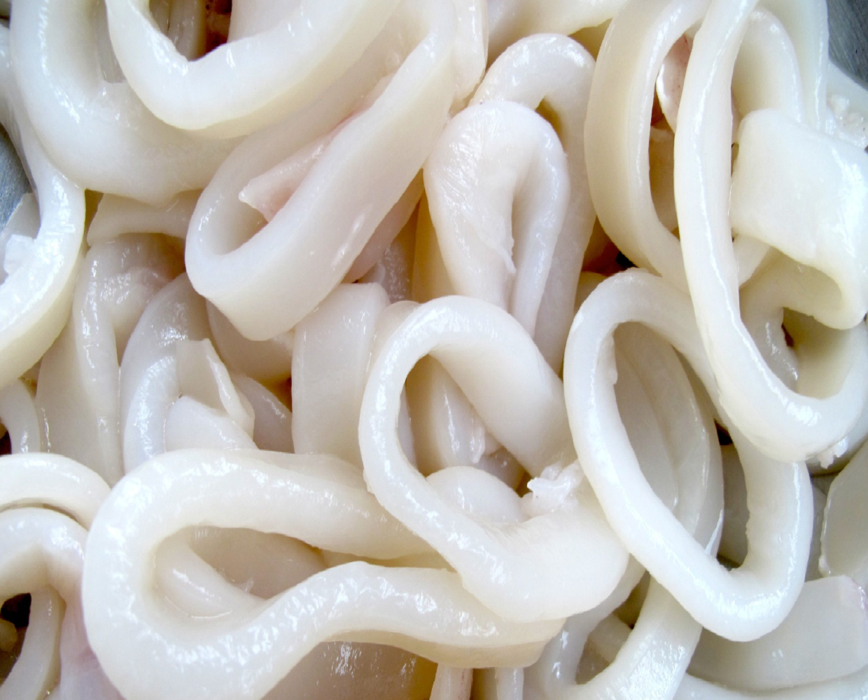 squid rings 01