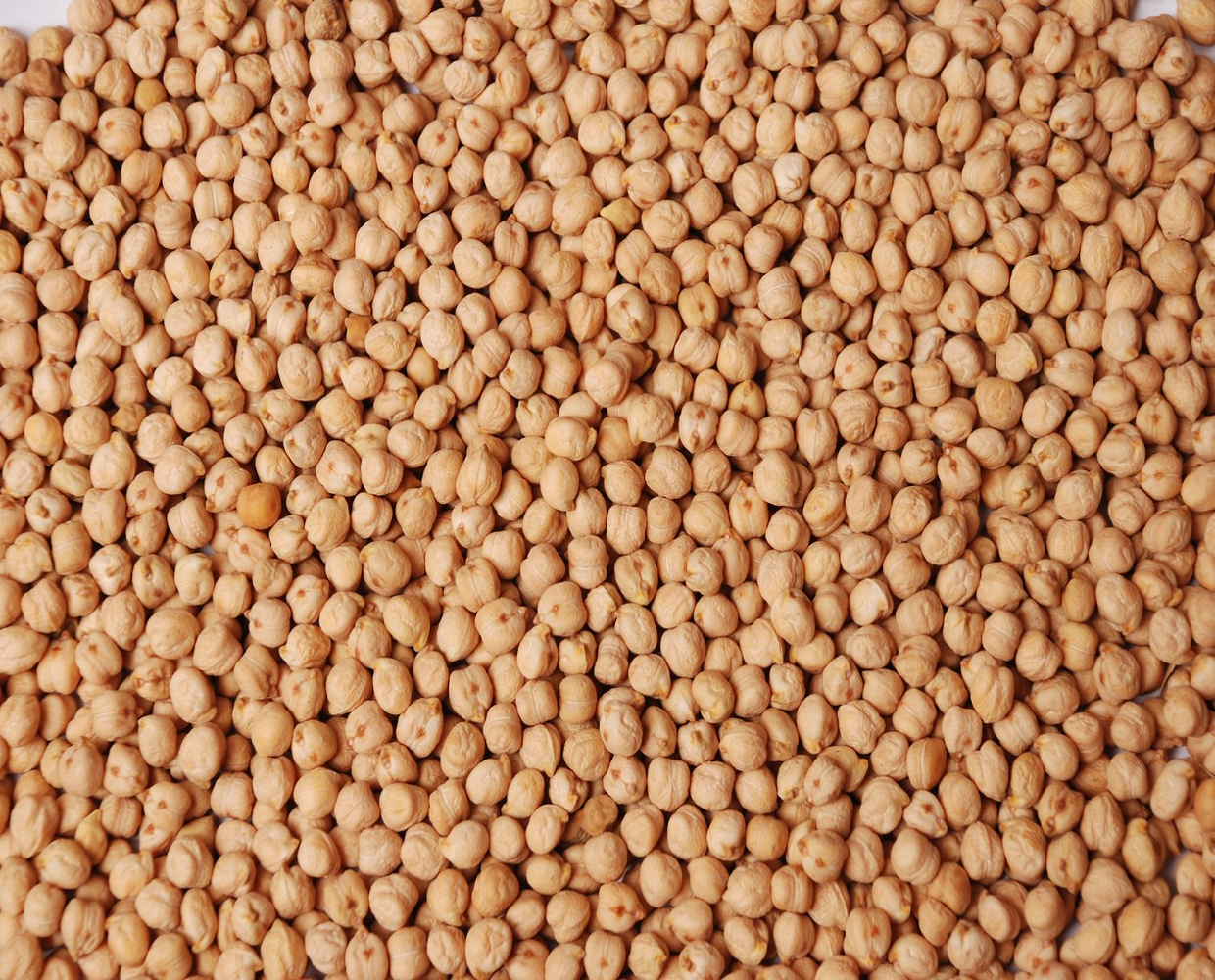 chick peas 1