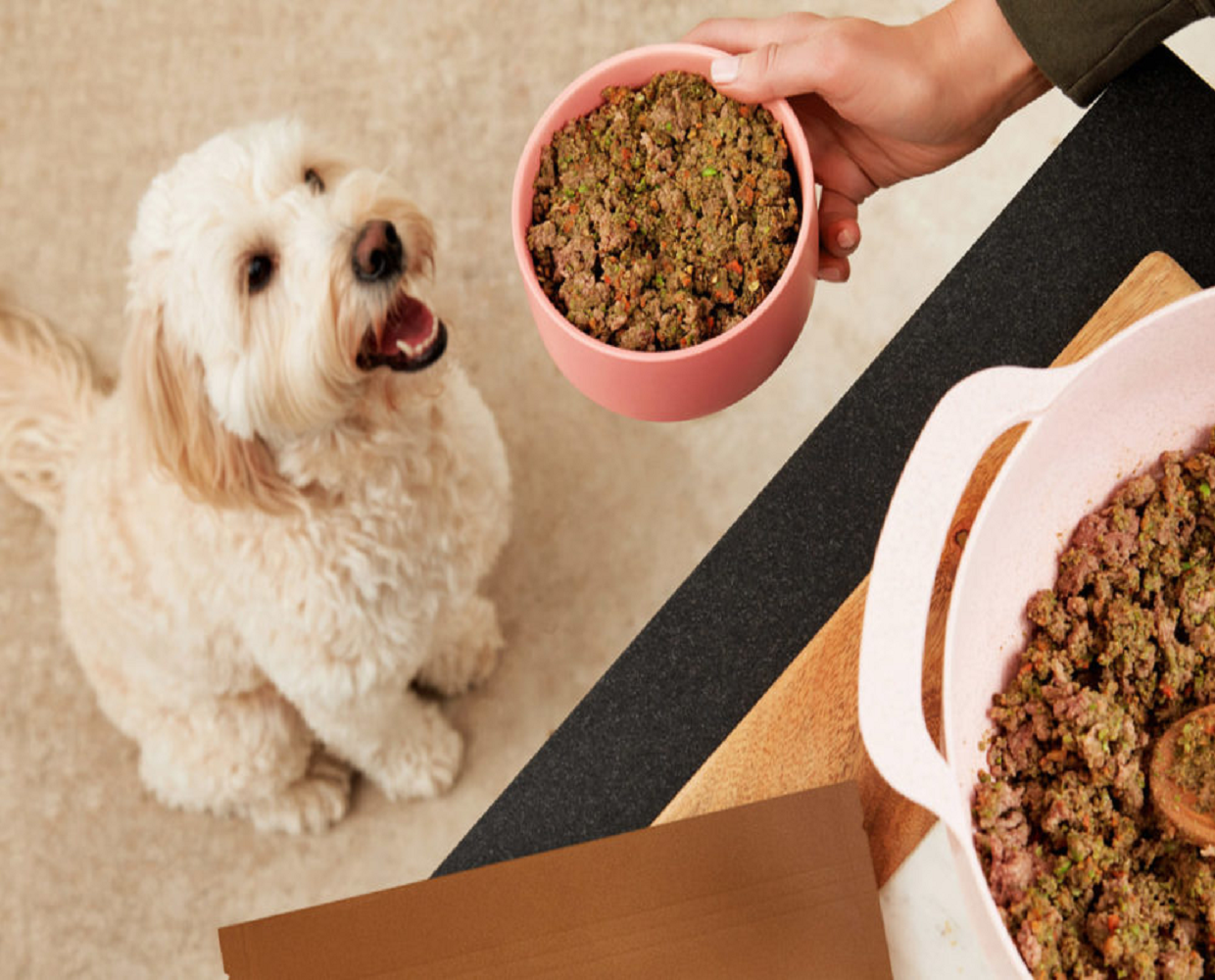 dogs pet food 1